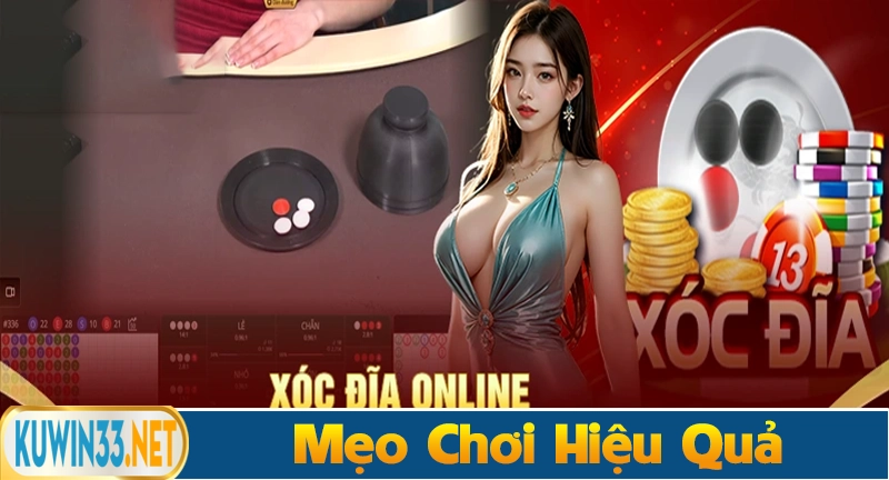 Mẹo chơi xóc đĩa online tại Kuwin hiệu quả thắng lớn cho Newbie
