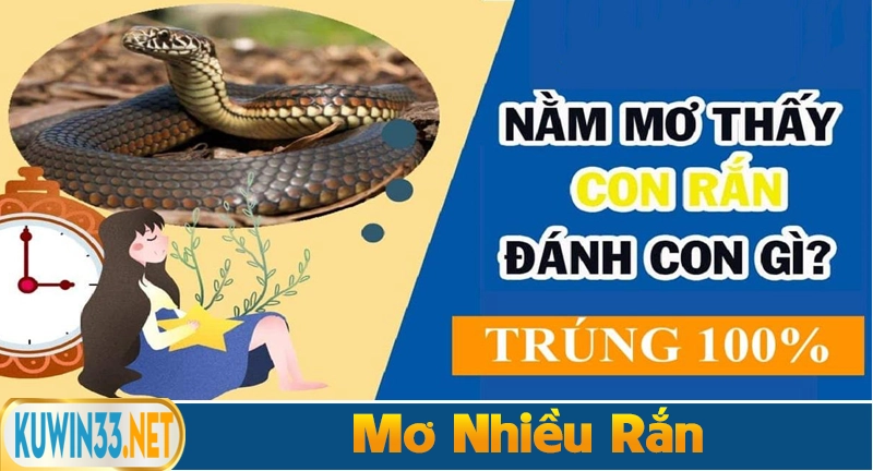 Mơ thấy nhiều rắn đánh số gì ( 16 - 61)
