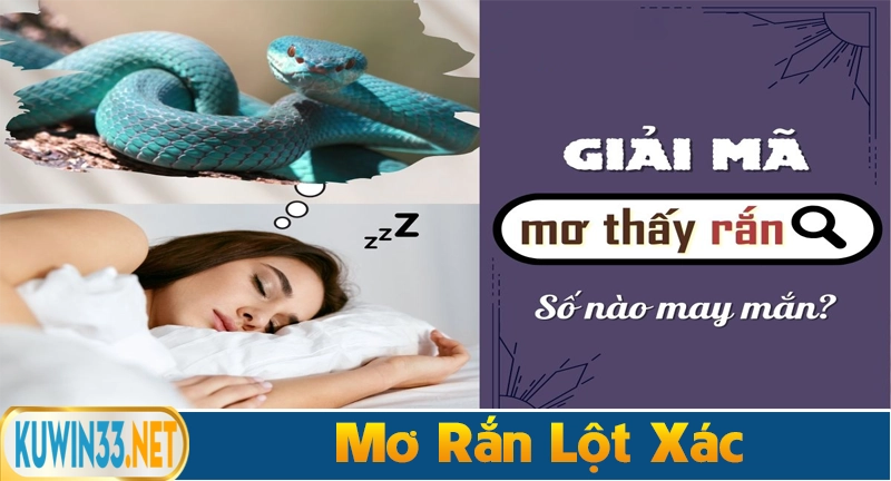 Nằm mơ thấy rắn lột xác đánh số gì ( 07 -70 )